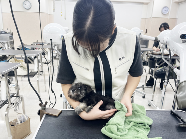 ☆子犬のお世話☆